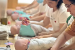 家政服务月嫂育婴师养老护理
